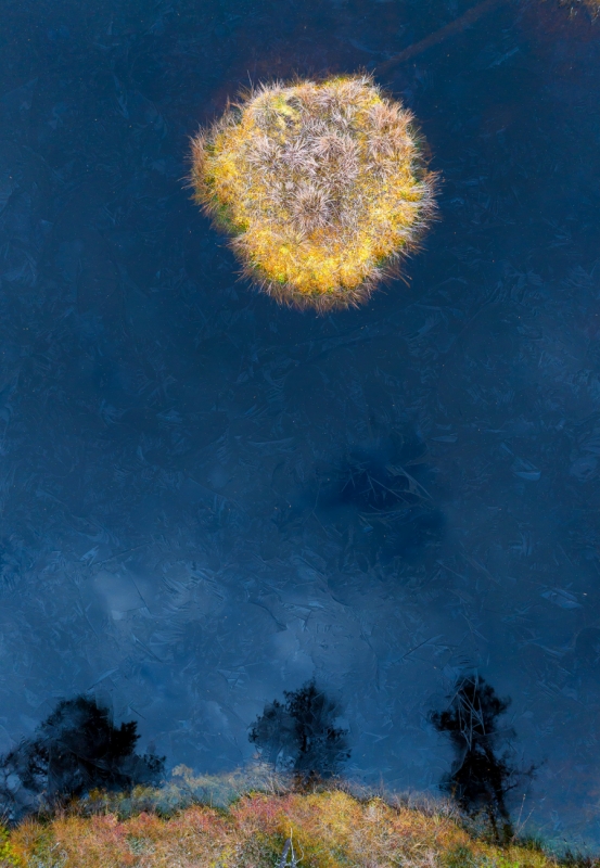 Moon night