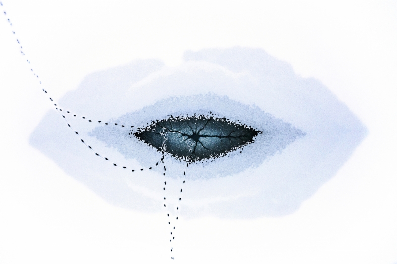 Third eye