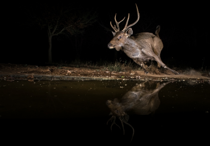 Reflection