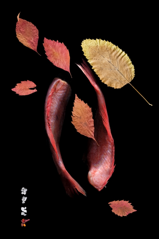 Sea bass and grape leaves