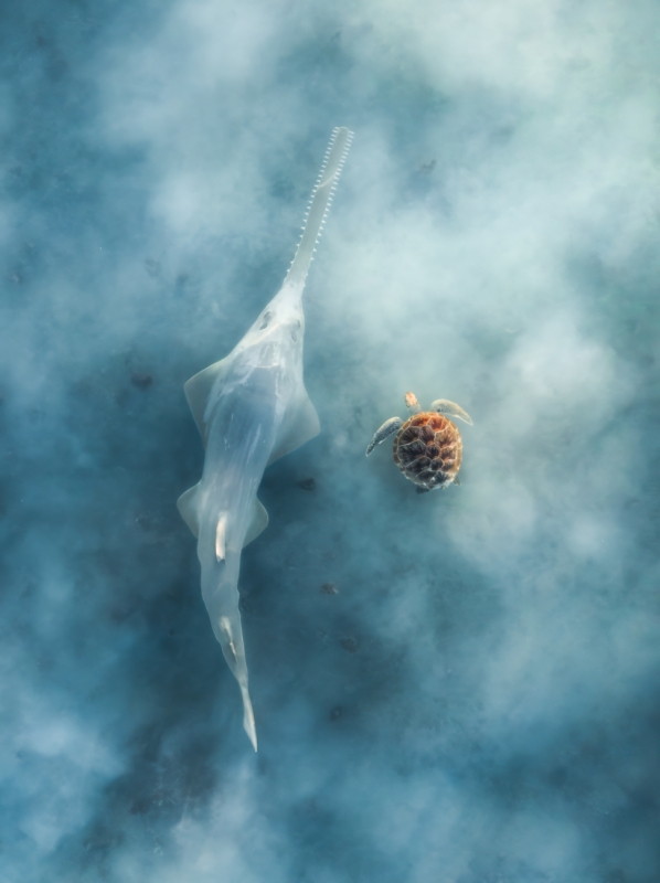 Ethereal Encounter