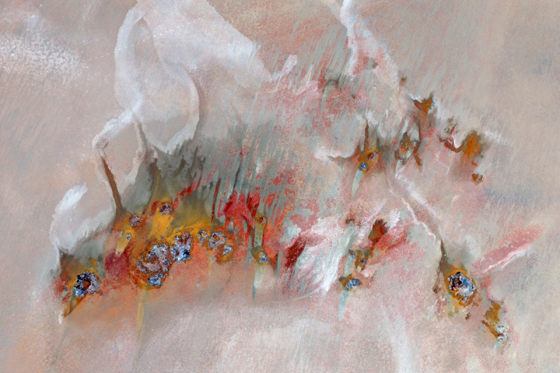 Swarm