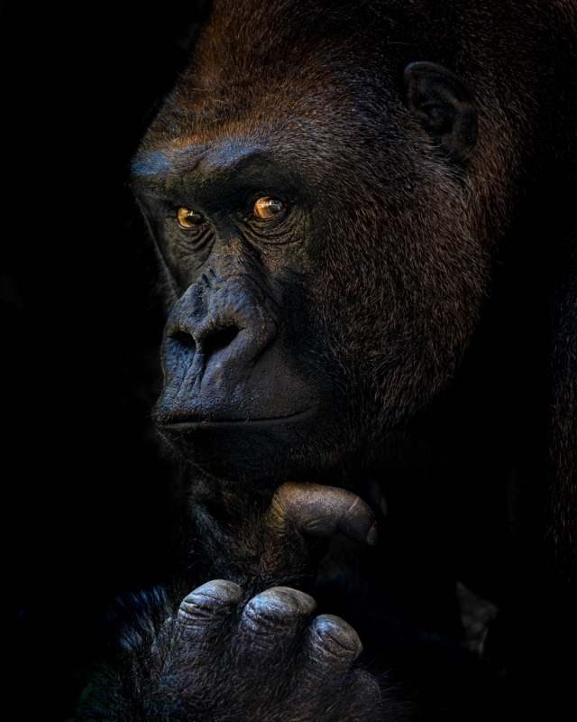 The Thinker
