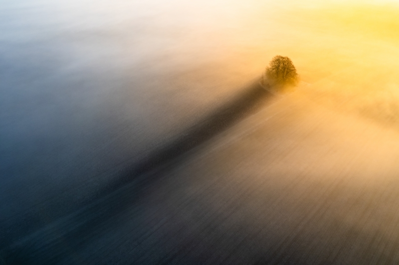 The Long Shadow