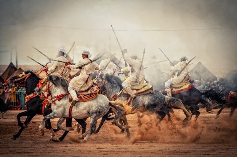 Tbourida in Morocco