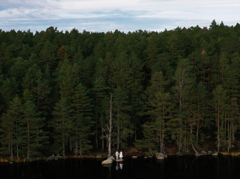 Among the Pines