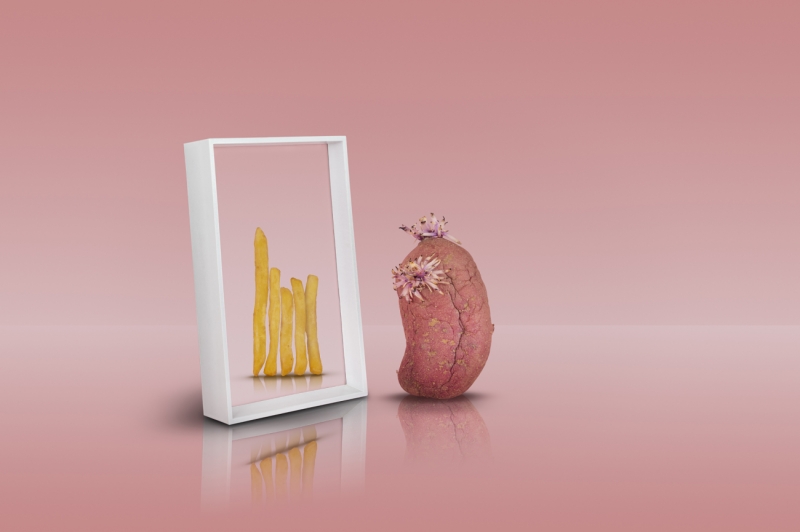 'Mirror, mirror on the wall'