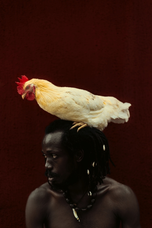 WHEN THE COCK CROWS