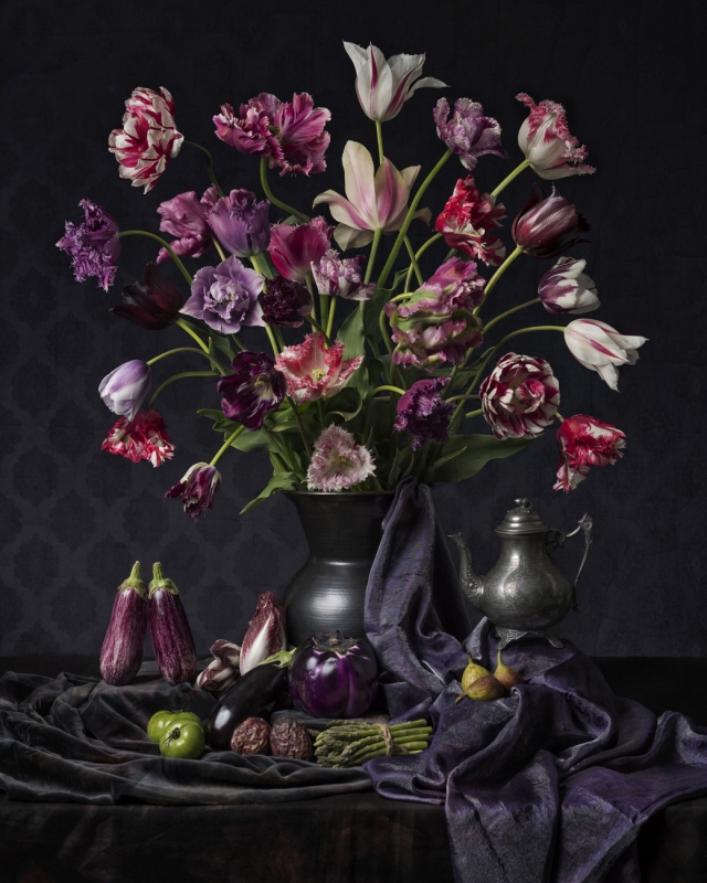 Rembrandt's Tulips in Purple