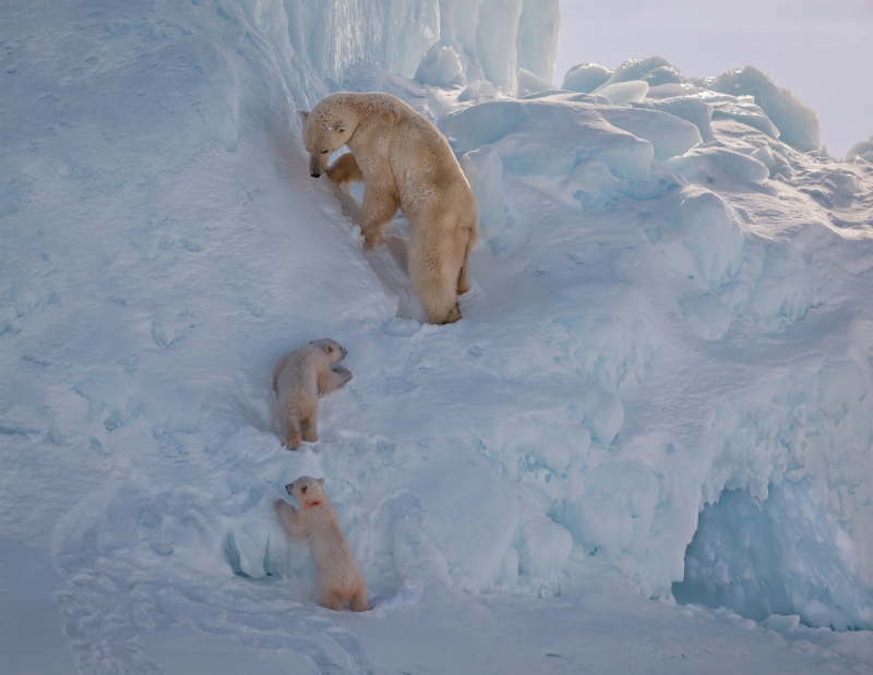 Mom and baby