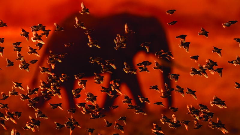 Surrounded