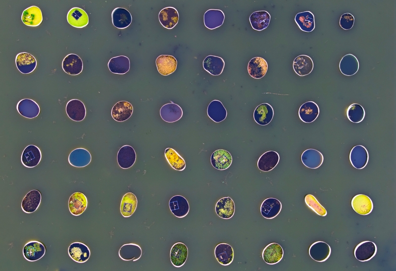 Controlled Aquaculture