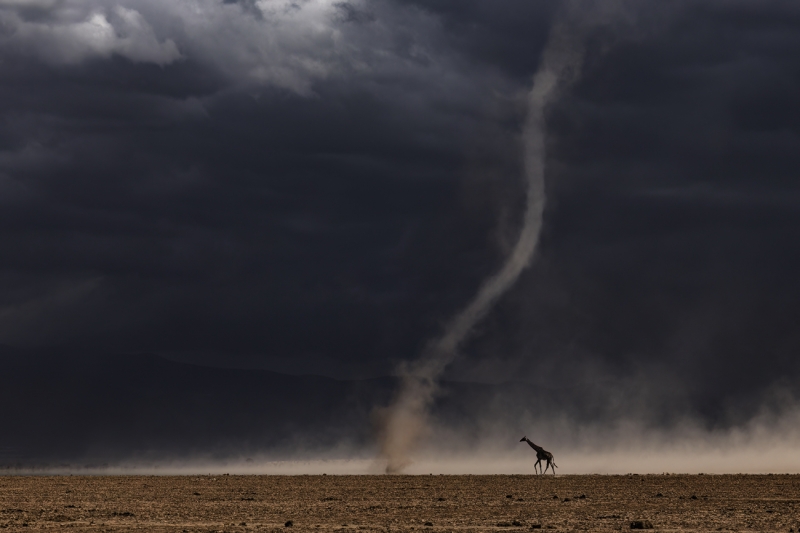 The Dust Devil Appears