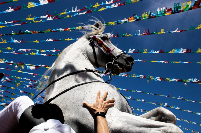 The Flying Horse