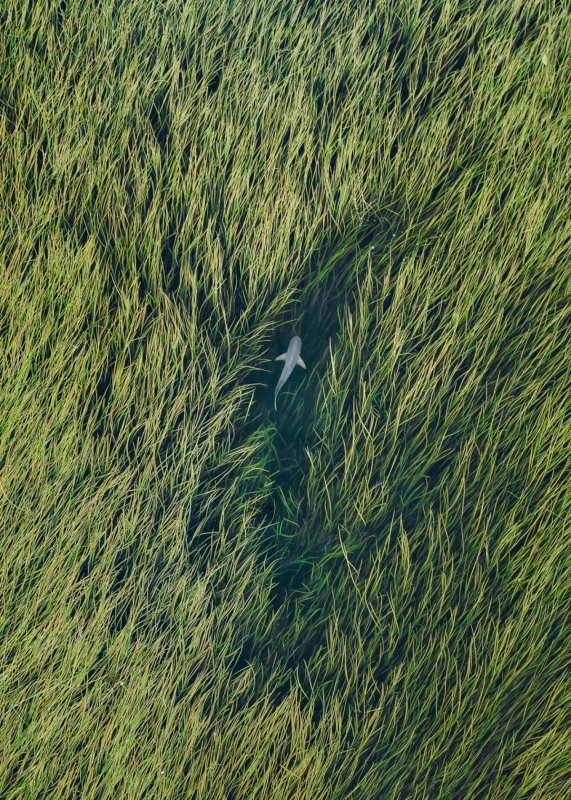 Out of Sight