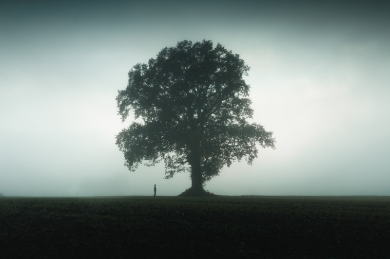 The Young Man and the tree