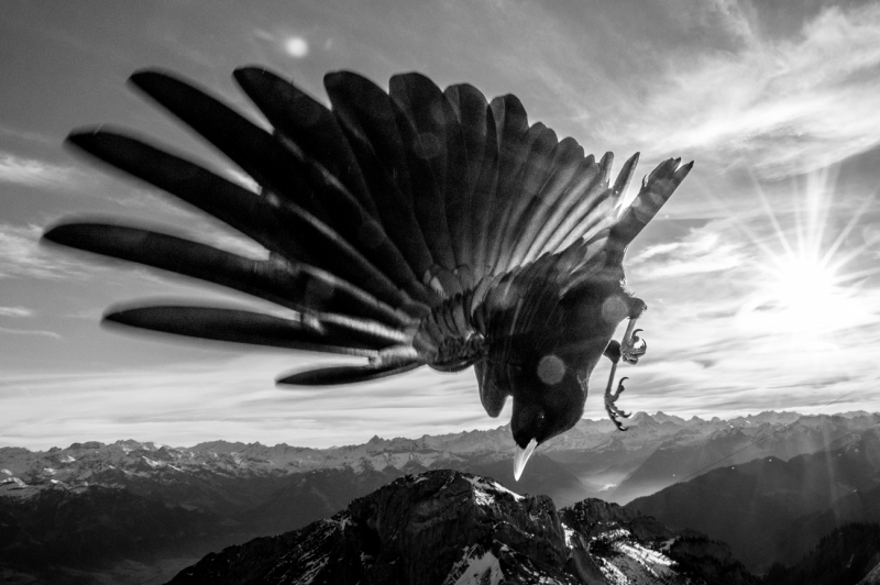 Above the Alps