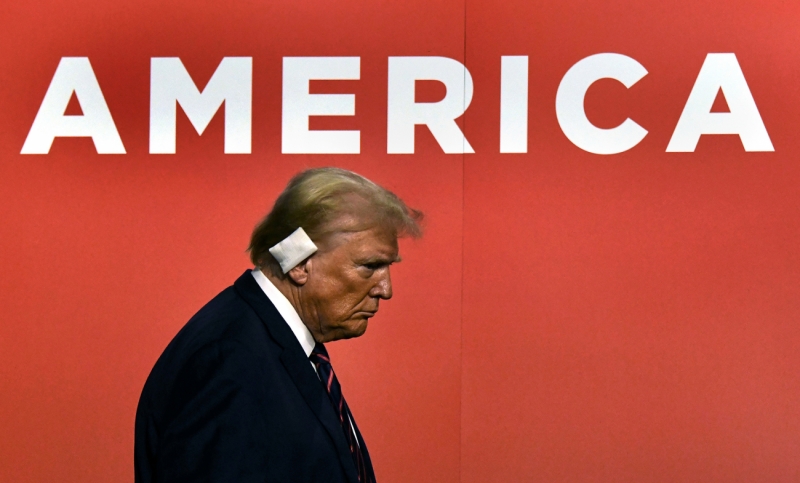 DONALD TRUMP'S AMERICA