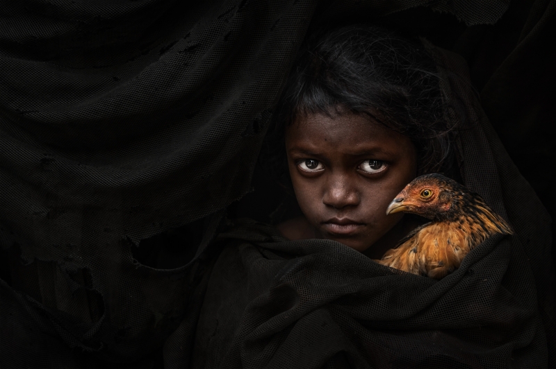 Eyes Carrying Untold Worlds