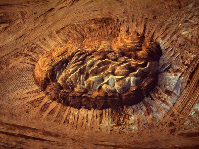 Earth's imprint