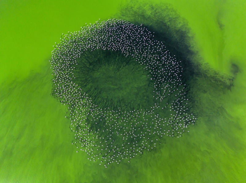 The Eye of Water