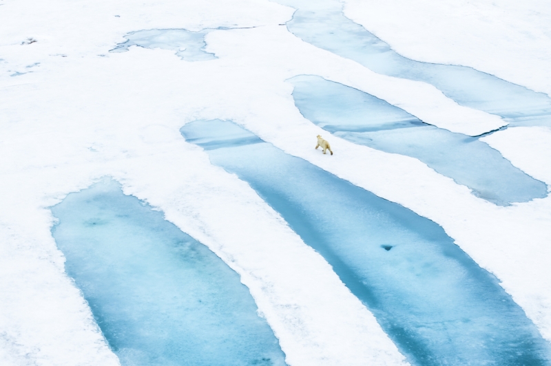 On Melting Ice
