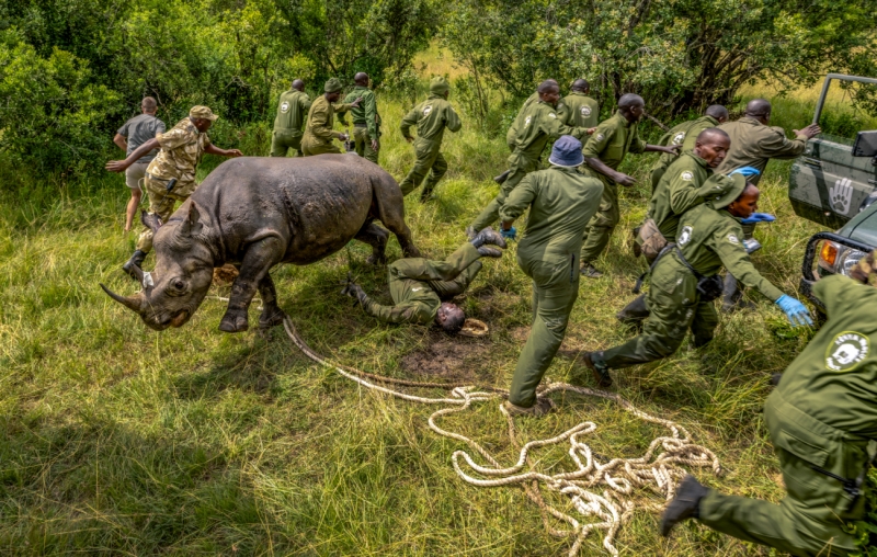 Black Rhino Rescue