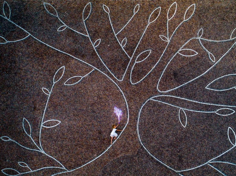 The Tree of Life