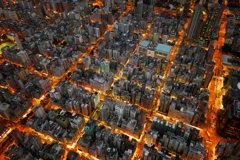 Concrete Jungle