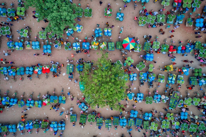 Mango market in Bangladesh