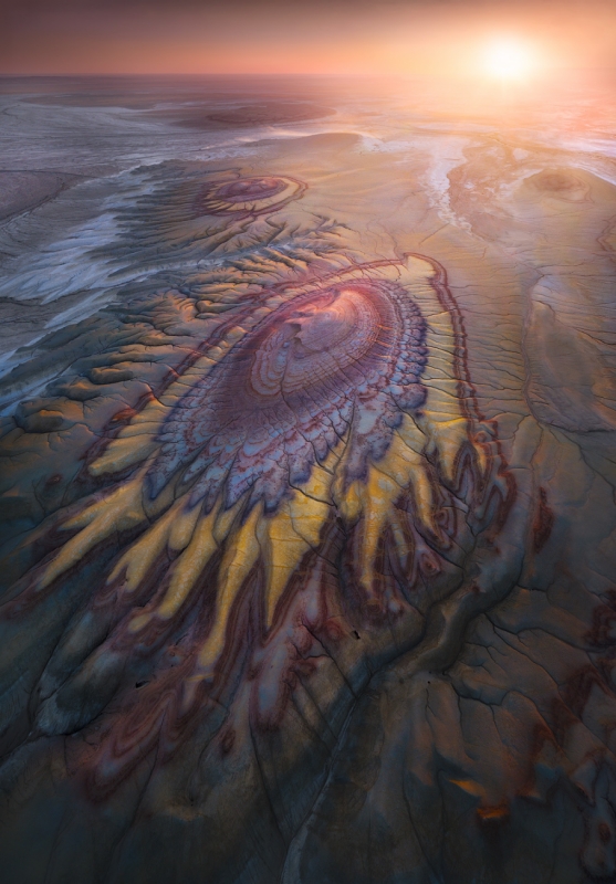 Alien land