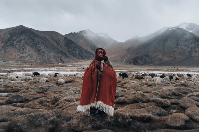 The nomads of ladakh