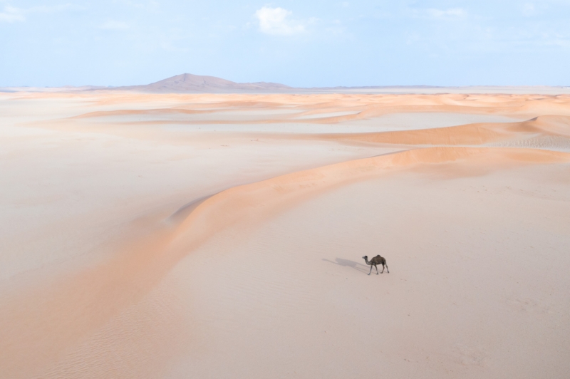 Solitude in the Sands