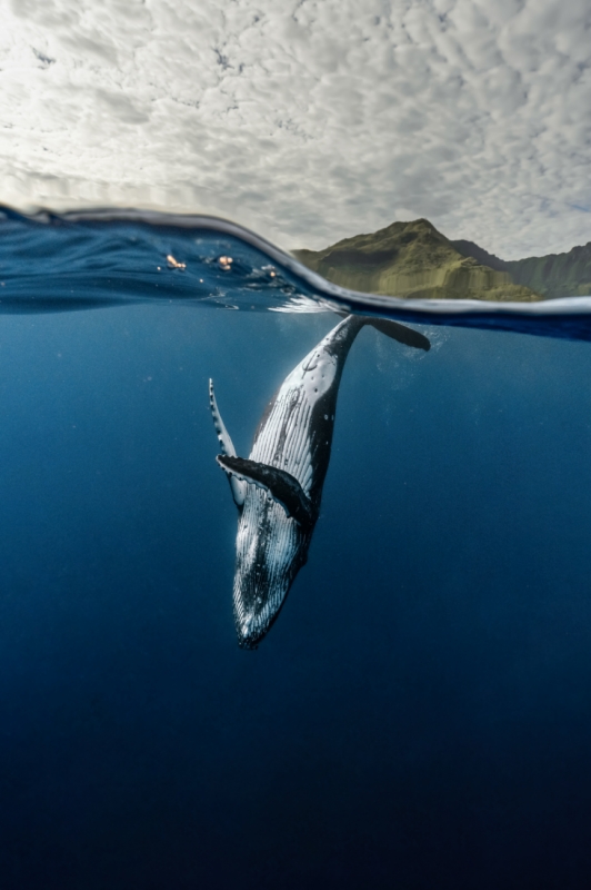 Ocean Wide