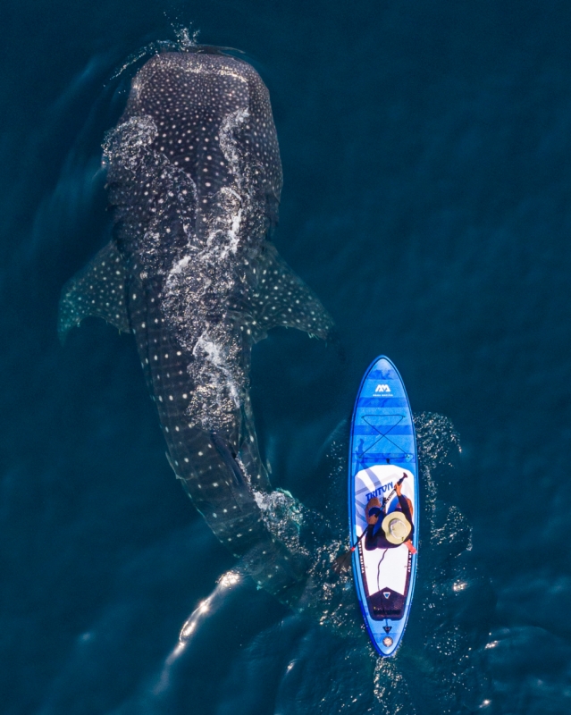 The oceans belongs to us all