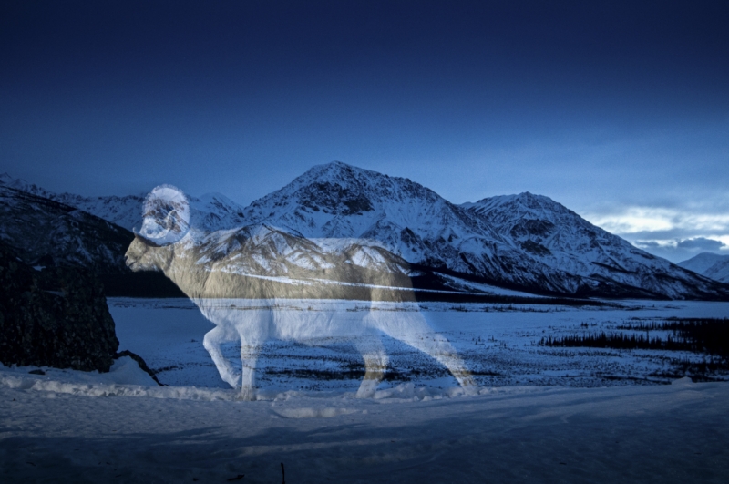 Mountain Ghost