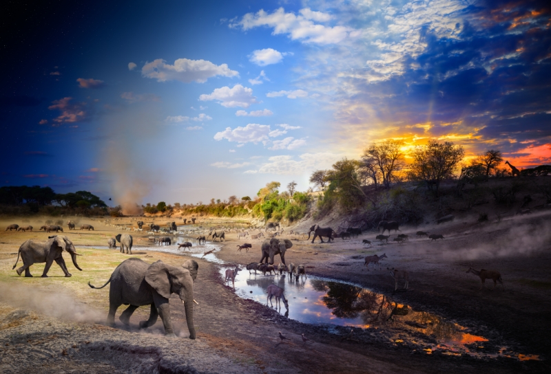Boteti River, Botswana, Day to Night™ , 2024