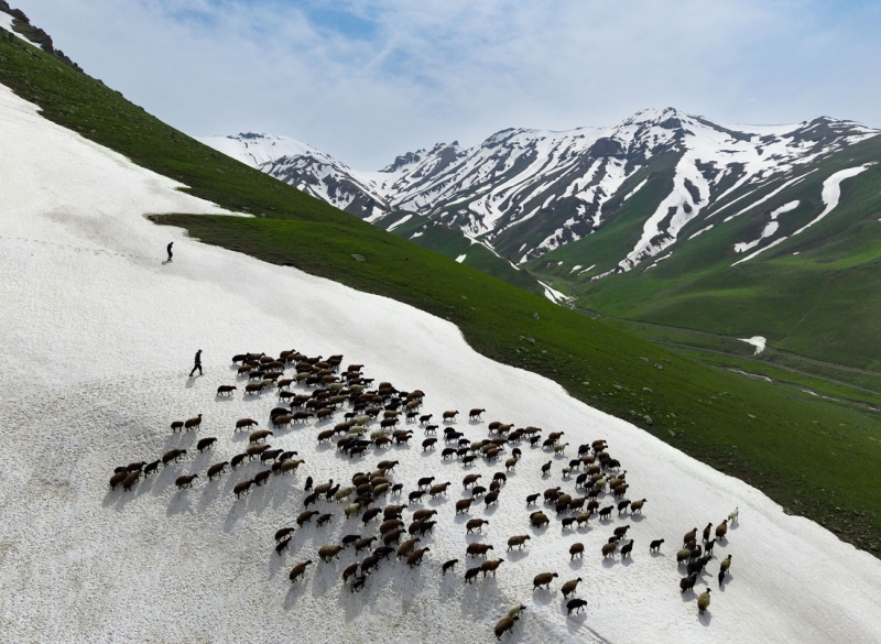 Journey to The Summit