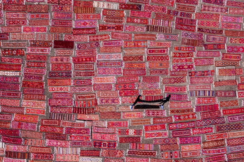 Carpet Fields