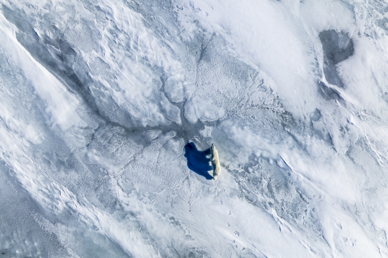 On the melting ice