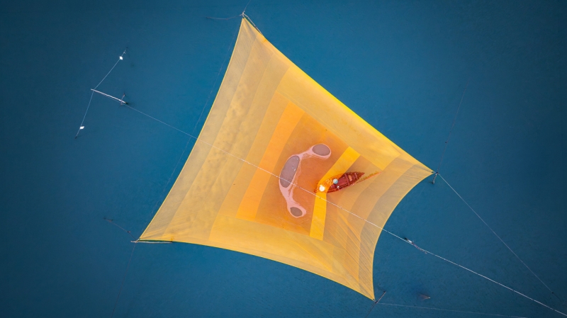 Kite