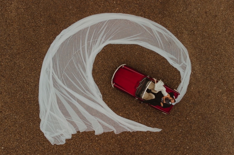 Veil snail