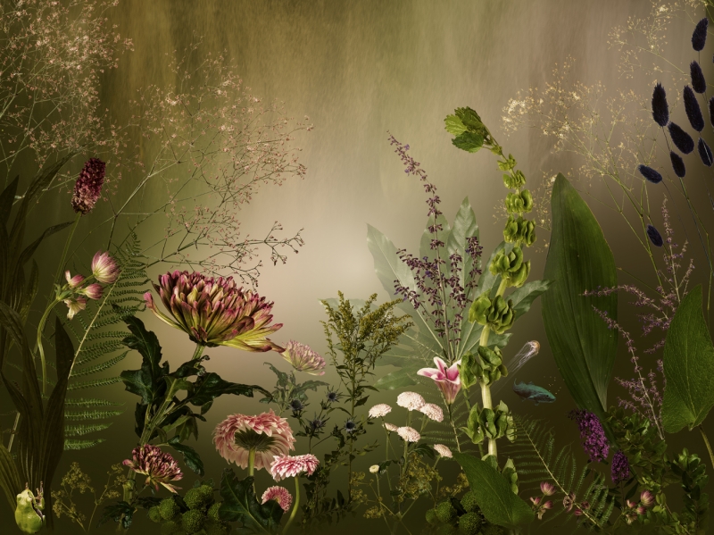 Sea of flowers