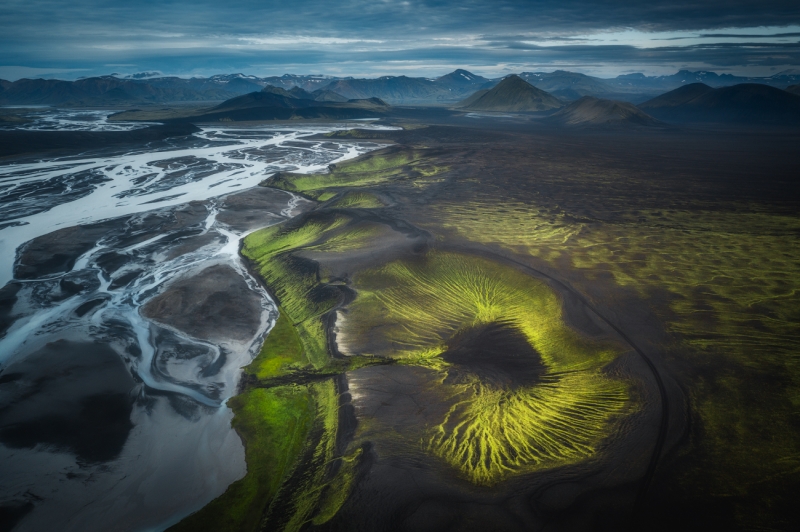 The Tree of Iceland