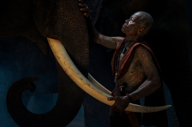 Mahout and His Elephant
