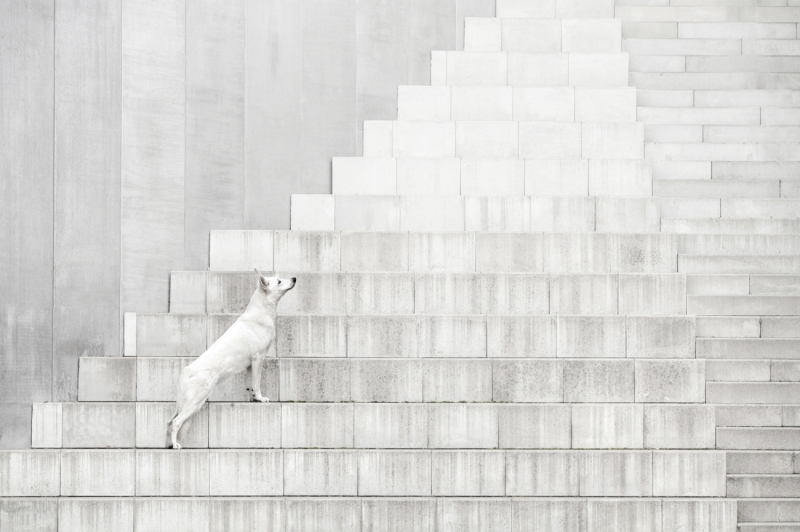 The Shape of Stillness