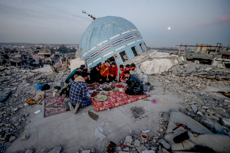 Life Persists Amid the Ruins