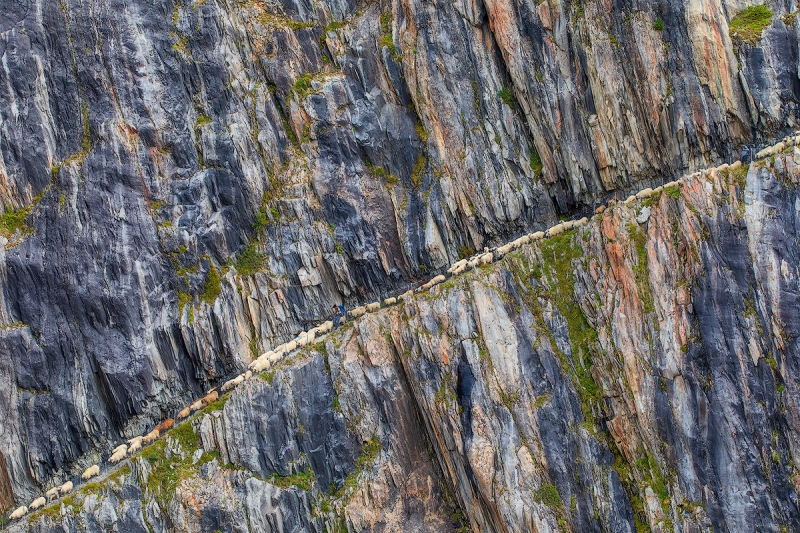 ON THE EDGE