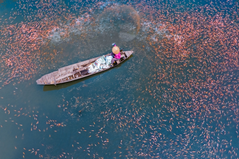 Nurturing the living