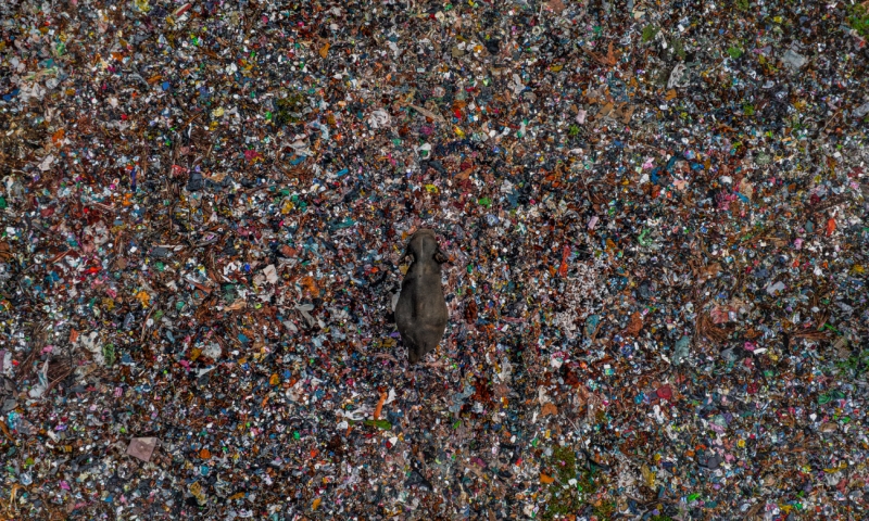 Echoes of waste